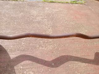 Barra Z con discos para halterofilia