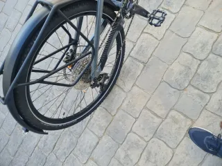 Bicicleta MTB Focus Tron 6.8 EQP 29 Gris