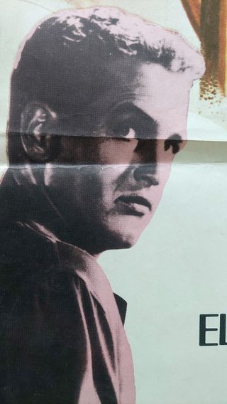 Cartel Original La Gata Sobre El Tejado De Zinc