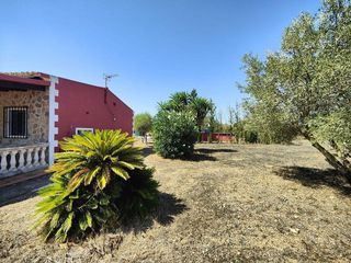 Casa rural en alquiler en Llucmajor Interior en Llucmajor
