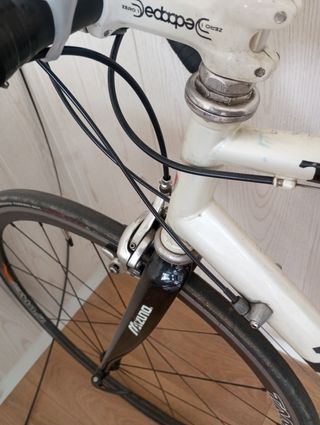 Bicicleta Trek Carretera Blanca