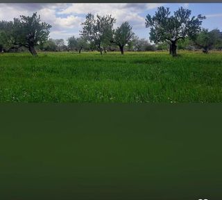 Solar en venta en Llucmajor Interior en Llucmajor