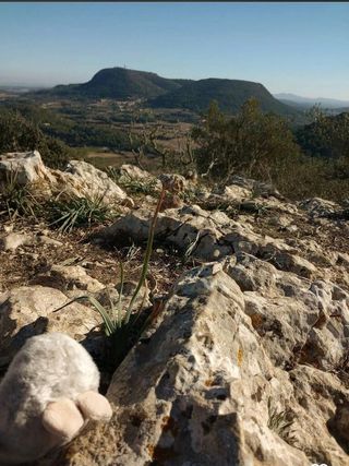 Solar en venta en Llucmajor Interior en Llucmajor