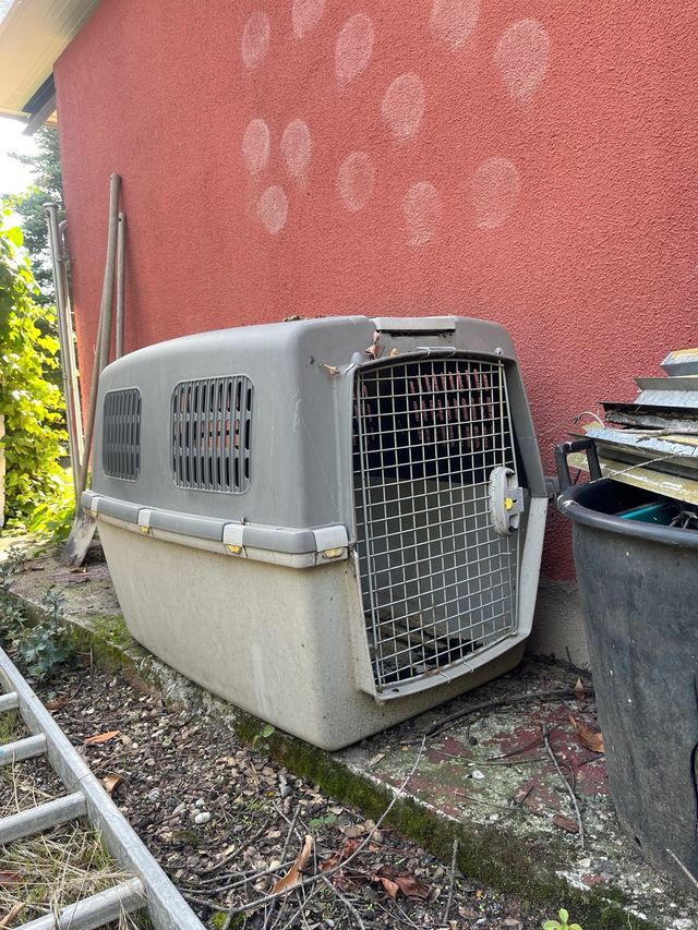 Transportín perro grande pastor alemán