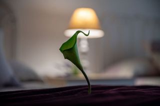 Piso en venta en Astillero (El)