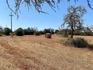 Terreno en venta en Campos