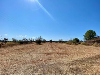 Terreno en venta en Campos