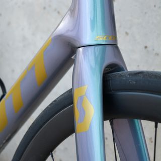 Adhesivo SCOTT - Dorado Mate (Vineticshop)