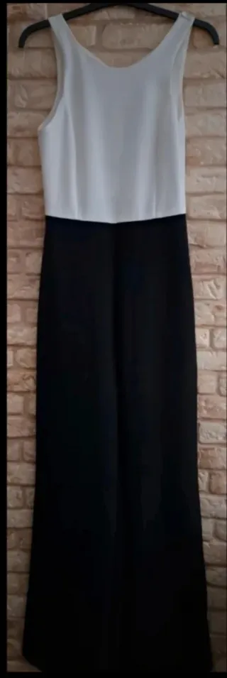 Mono de vestir, Green Coast