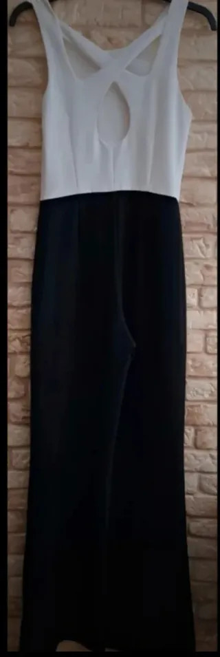 Mono de vestir, Green Coast