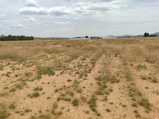 Solar en venta en Almansa