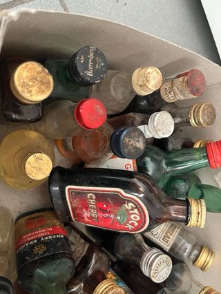 Lote Botellas Miniatura Coleccionables