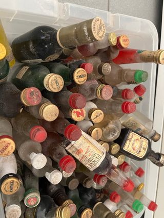 Lote Botellas Miniatura Coleccionables