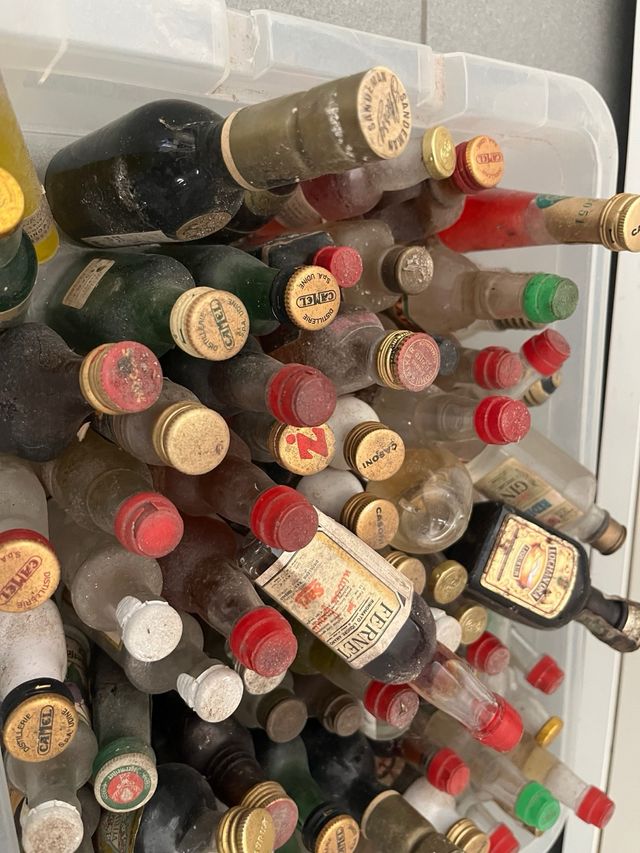 Lote Botellas Miniatura Coleccionables