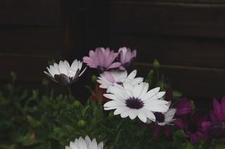 Casa adosada en venta en Astillero (El)