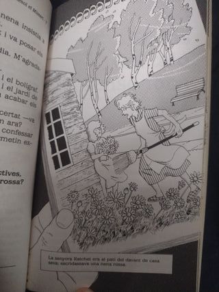 El misteri dels diamants desapareguts