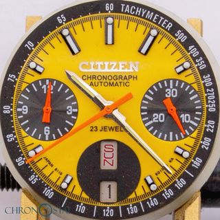 Citizen 67-9011 Panda Bullhead Automatic