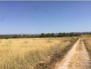 Solar en venta en Parque de la Bombilla-Pla de Rascanya en Llíria