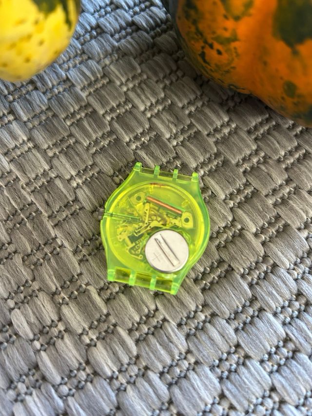 Orologio Swatch ROBIN GJ103