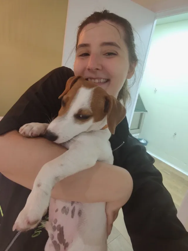 Cuidadora y peluquera canina.