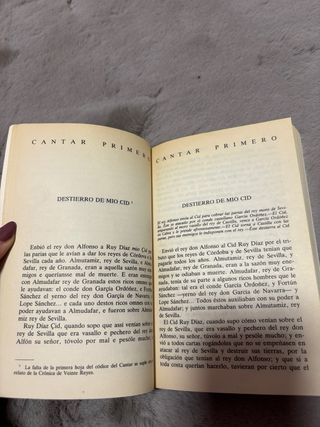 Cantar De Mío Cid...