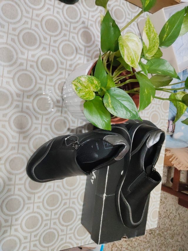 Zapatos y sandalias plateados y marrones