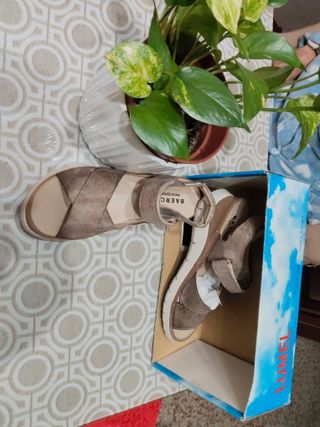 Zapatos y sandalias plateados y marrones