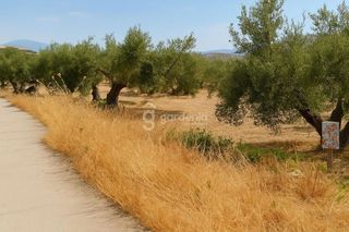 Terreno en venta en Priego de Córdoba