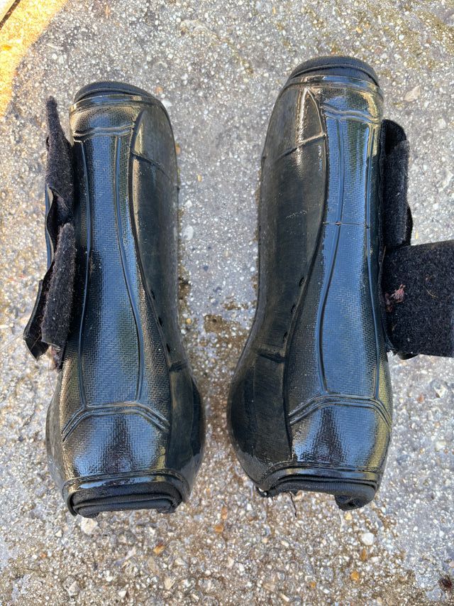 Stinchiere per cavallo