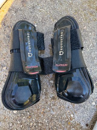 Stinchiere per cavallo