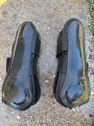 Stinchiere per cavallo