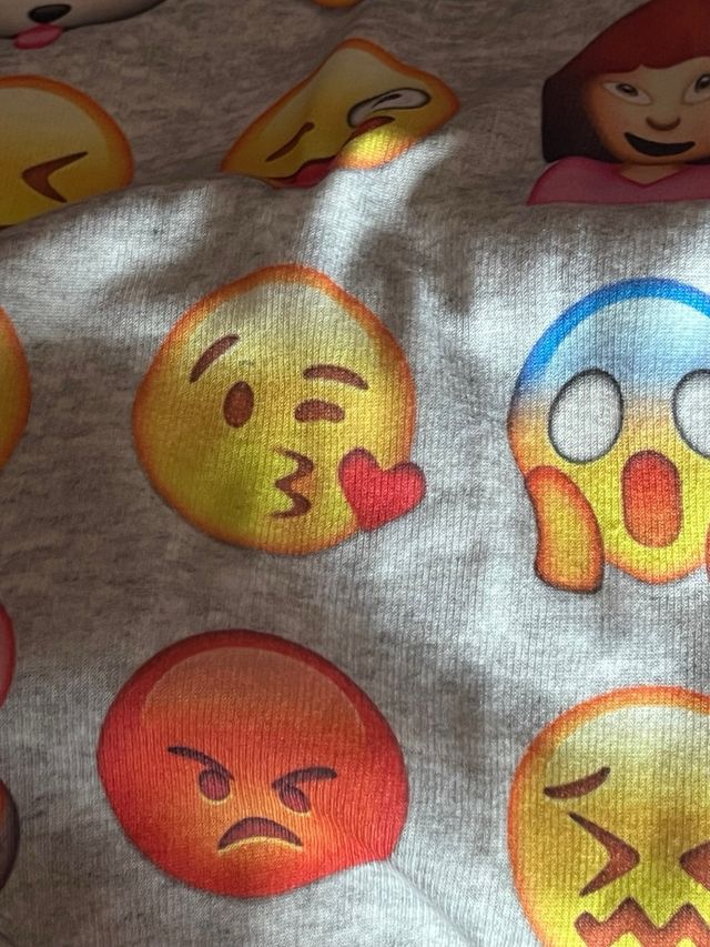 Sudadera WhatsApp Gris Multicolor