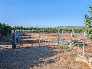 Terreno en venta en Benavites