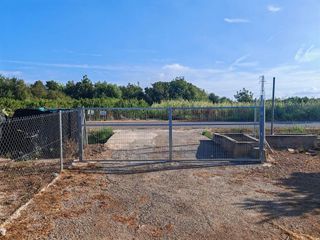 Terreno en venta en Benavites