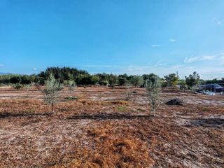 Terreno en venta en Benavites