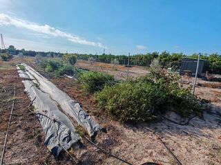 Terreno en venta en Benavites