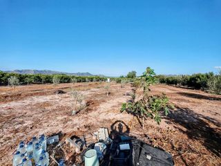 Terreno en venta en Benavites