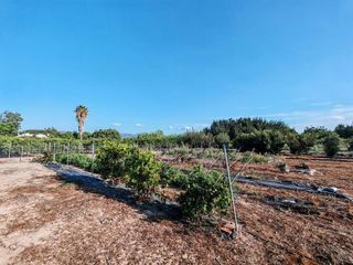 Terreno en venta en Benavites