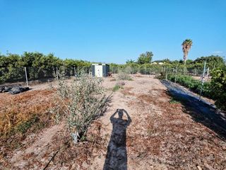 Terreno en venta en Benavites