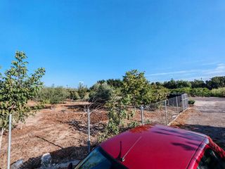 Terreno en venta en Benavites
