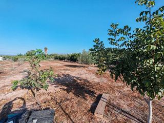 Terreno en venta en Benavites