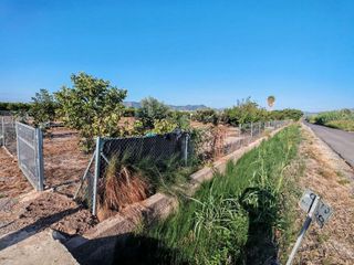 Terreno en venta en Benavites