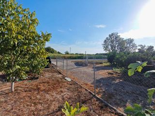 Terreno en venta en Benavites