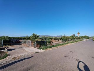Terreno en venta en Benavites