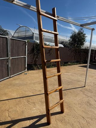 Escalera Pino Maciza 2,60m