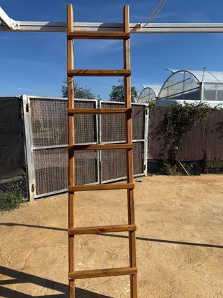 Escalera Pino Maciza 2,60m