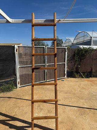 Escalera Pino Maciza 2,60m