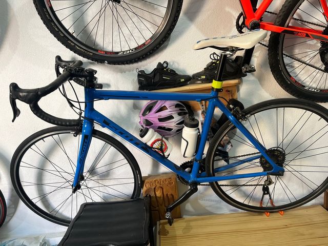 Bicicletta da strada blu