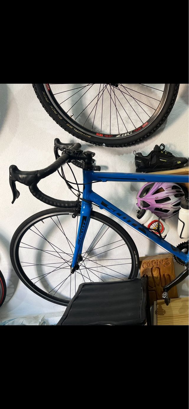 Bicicletta da strada blu