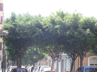 Local comercial en venta en Alaquàs